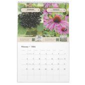 Popular Plants & Herbs - Calendar 2026/2027 Kalender (Feb 2026)
