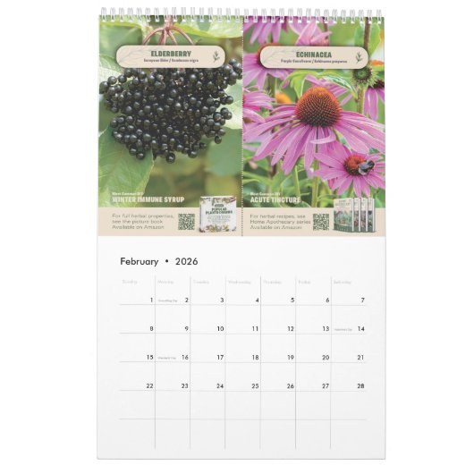 Popular Plants & Herbs - Calendar 2026/2027 Kalender (Feb 2026)