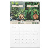 Popular Plants & Herbs - Calendar 2026/2027 Kalender (Jan 2026)