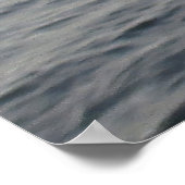 Populatie-dolfijn Poster (Hoek)