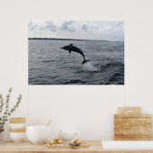 Populatie-dolfijn Poster (Keuken)