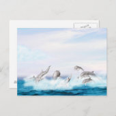 Populatie-dolfijnen Briefkaart (Voorkant / Achterkant)