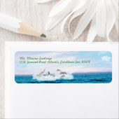 Populatie-dolfijnen Etiket (Insitu)