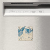 Populatie Verenigde Staten telling 2 Magneet (Insitu (Vaatwasser))