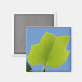 Populierenblad Magneet (Voorkant / Achterkant)