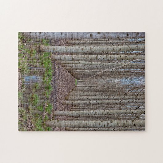 populierenbos legpuzzel (Horizontaal)