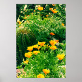 popzzel poster (Voorkant)