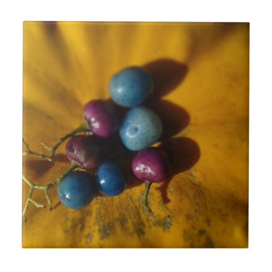 Porcelain Berries en Pumpkin Tegeltje (Voorkant)