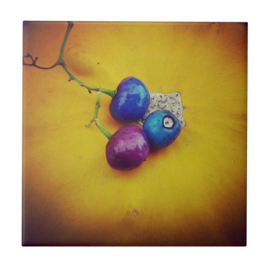 Porcelain Berries op pompoen Tegeltje (Voorkant)