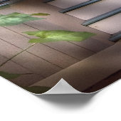 Porch - gewoon roze poster (Hoek)