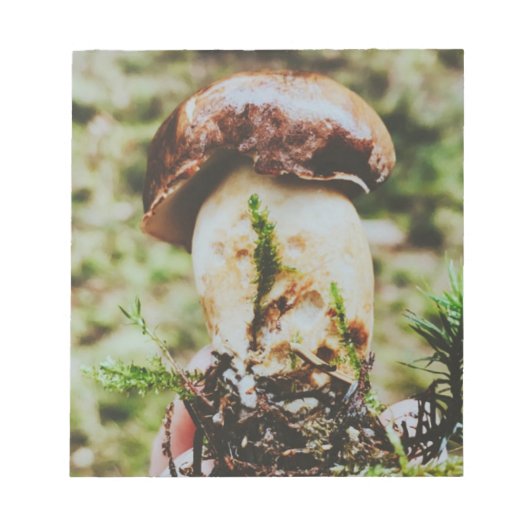 Porcini Mushroom in het Zweedse bos Notitieblok (Voorkant)