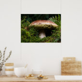 Porcinopaddenstoel Poster (Keuken)