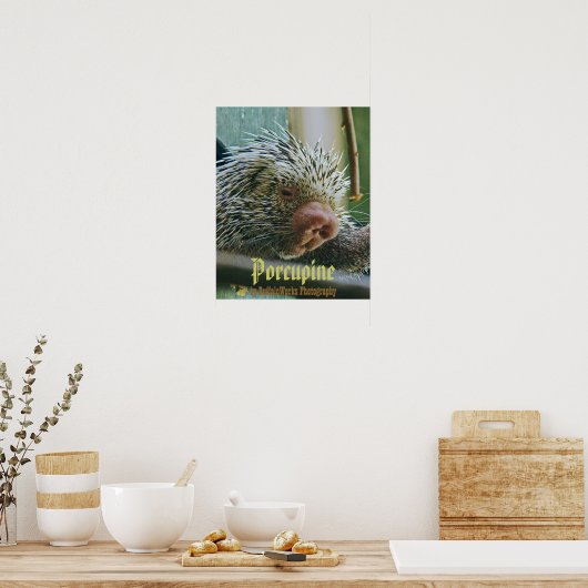 Porcupine-2-Poster Poster (Keuken)