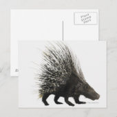 Porcupine Briefkaart (Voorkant / Achterkant)