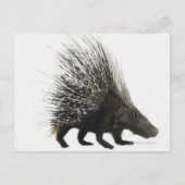 Porcupine Briefkaart (Voorkant)