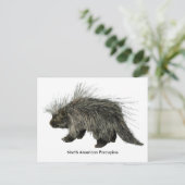 Porcupine Briefkaart (Staand voorkant)