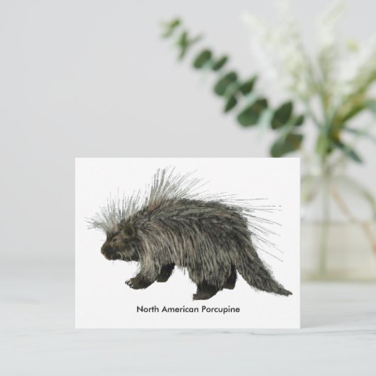 Porcupine Briefkaart (Staand voorkant)