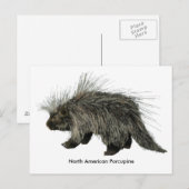 Porcupine Briefkaart (Voorkant / Achterkant)