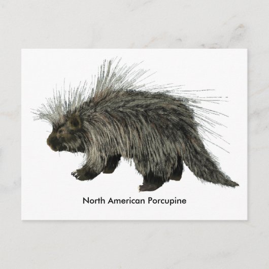 Porcupine Briefkaart (Voorkant)