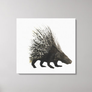 Porcupine Canvas Afdruk