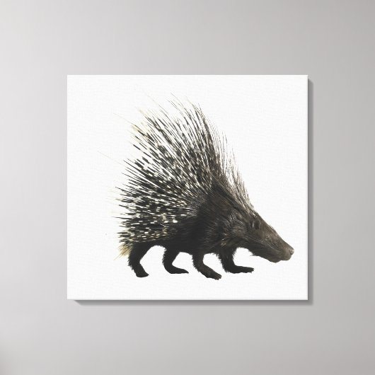 Porcupine Canvas Afdruk (Voorkant)