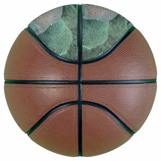 Porcupine Close Mini Basketbal (Rechts)