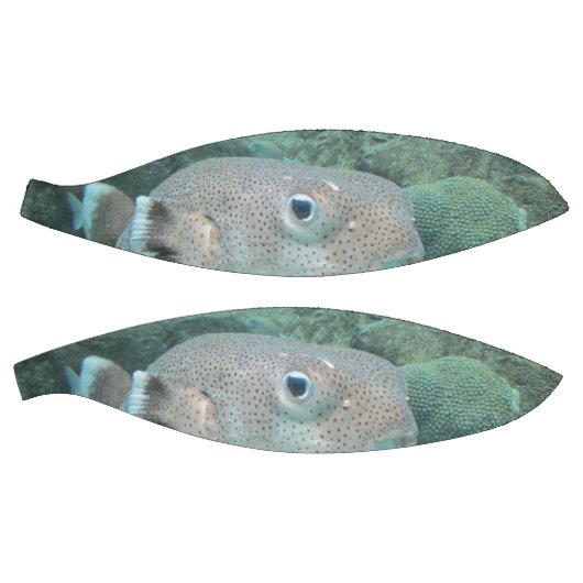 Porcupine Close Mini Basketbal (Panelen)