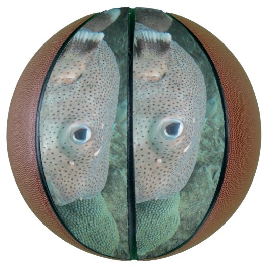 Porcupine Close Mini Basketbal (Verticaal)