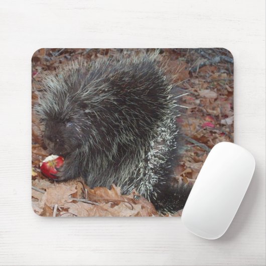 Porcupine en Apple Muismat (Met muis)
