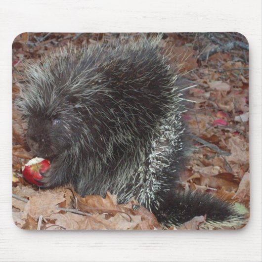 Porcupine en Apple Muismat (Voorkant)