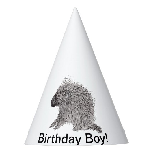 Porcupine Feesthoedjes (Voorkant)