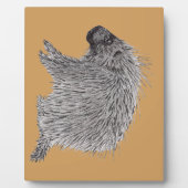 Porcupine Fotoplaat (Voorkant)