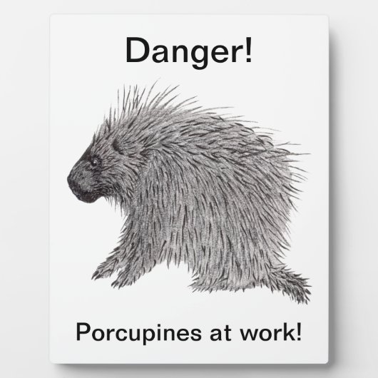 Porcupine Fotoplaat (Voorkant)