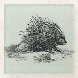 Porcupine Illustratie Glazen Onderzetter