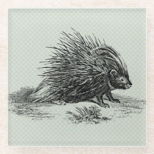  Porcupine Illustratie Glazen Onderzetter (Voorkant)