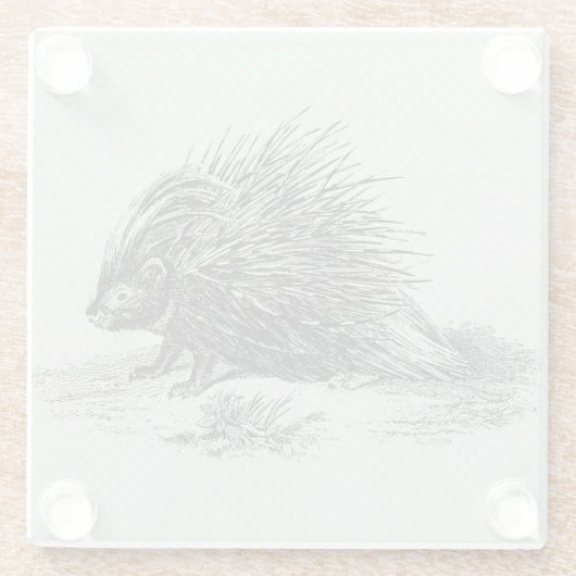  Porcupine Illustratie Glazen Onderzetter (Achterkant)