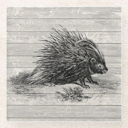 Porcupine Illustratie Glazen Onderzetter (Voorkant)