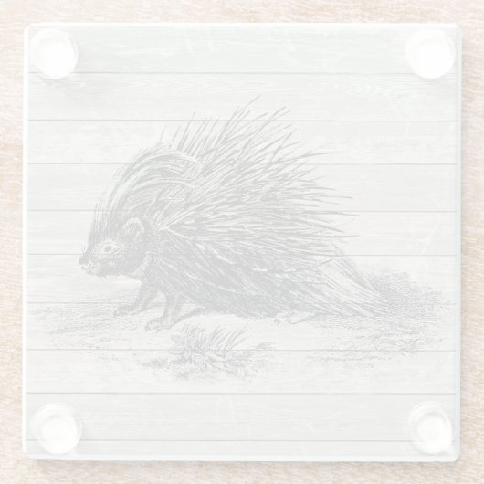  Porcupine Illustratie Glazen Onderzetter (Achterkant)