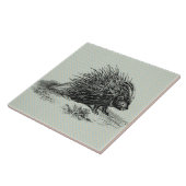  Porcupine Illustratie Tegeltje (Zijkant)
