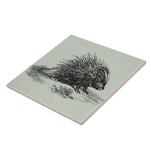  Porcupine Illustratie Tegeltje (Zijkant)
