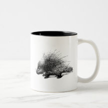 Porcupine  illustratie