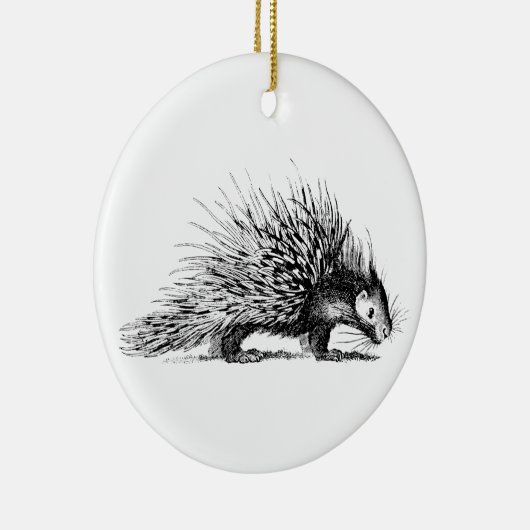  Porcupine Illustration - Porcupines 1800 Keramisch Ornament (Rechts)