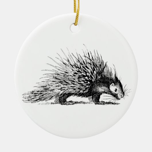  Porcupine Illustration - Porcupines 1800 Keramisch Ornament (Voorkant)