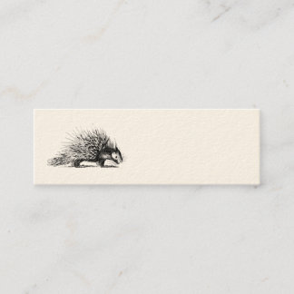 Porcupine Illustration - Porcupines 1800 Mini Visitekaartje
