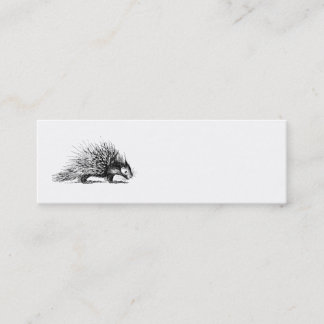 Porcupine Illustration - Porcupines 1800 Mini Visitekaartje