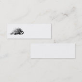  Porcupine Illustration - Porcupines 1800 Mini Visitekaartje (Voorkant / Achterkant)