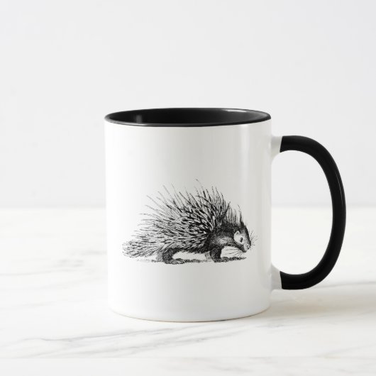 Porcupine Illustration - Porcupines 1800 Mok (Rechts)