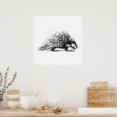 Porcupine Illustration - Porcupines 1800 Poster (Keuken)