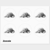  Porcupine Illustration - Porcupines 1800 Ronde Sticker (Vel)