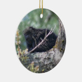 Porcupine in boomdierlijk Ornament (Rechts)